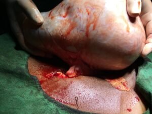 19d38a38-7a23-4731-b374-87b34611bb1e