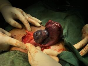 3bf96985-0ed9-4c01-8a59-dba6156bbe32