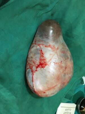 4d2209f4-739a-427f-b1fb-b86b2f2c2108