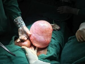 5b81f67b-5342-4f79-8bee-f0b63034312a