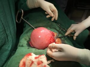 6e77f9af-9ccd-4e54-81a1-216d4217db38