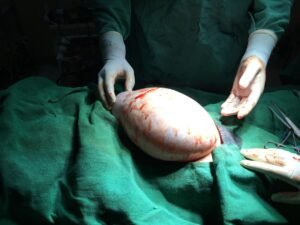 80fdcd95-534f-4d6d-9d20-2f1e66eeb2e3