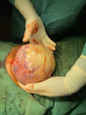 92e48b1a-ba14-4e60-8da0-2b41add79990