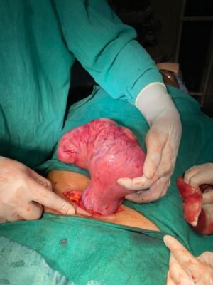 c7ee6338-3b03-4977-93f9-bdf3fc891b57