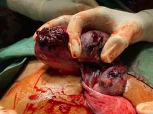 cfa943a4-ea19-4745-bcc5-bcffeba991a8